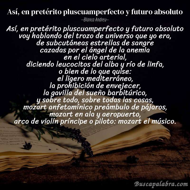 Poema así, en pretérito pluscuamperfecto y futuro absoluto de Blanca Andreu con fondo de libro