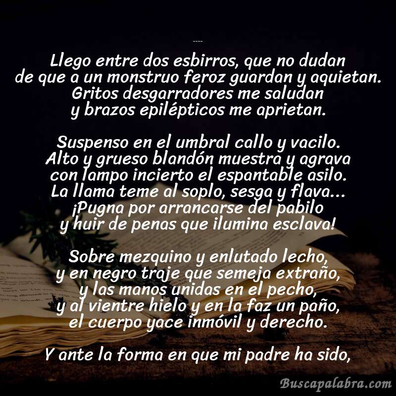 Poema Duelo de Salvador Díaz Mirón con fondo de libro