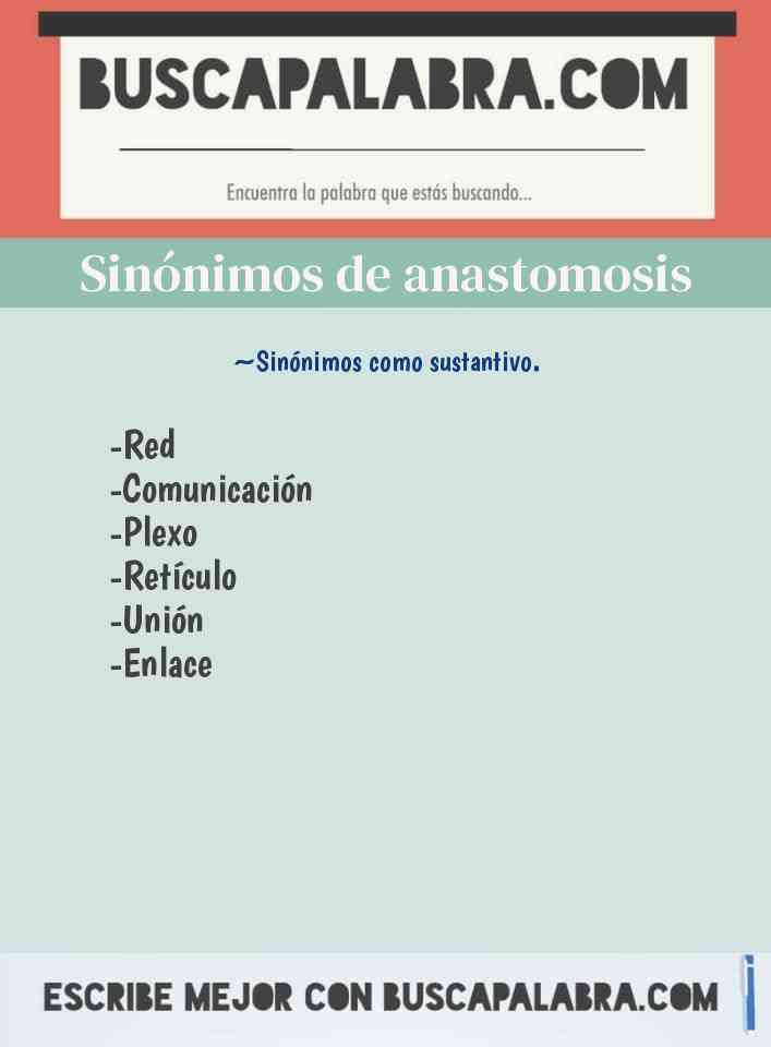 Sinónimo de anastomosis