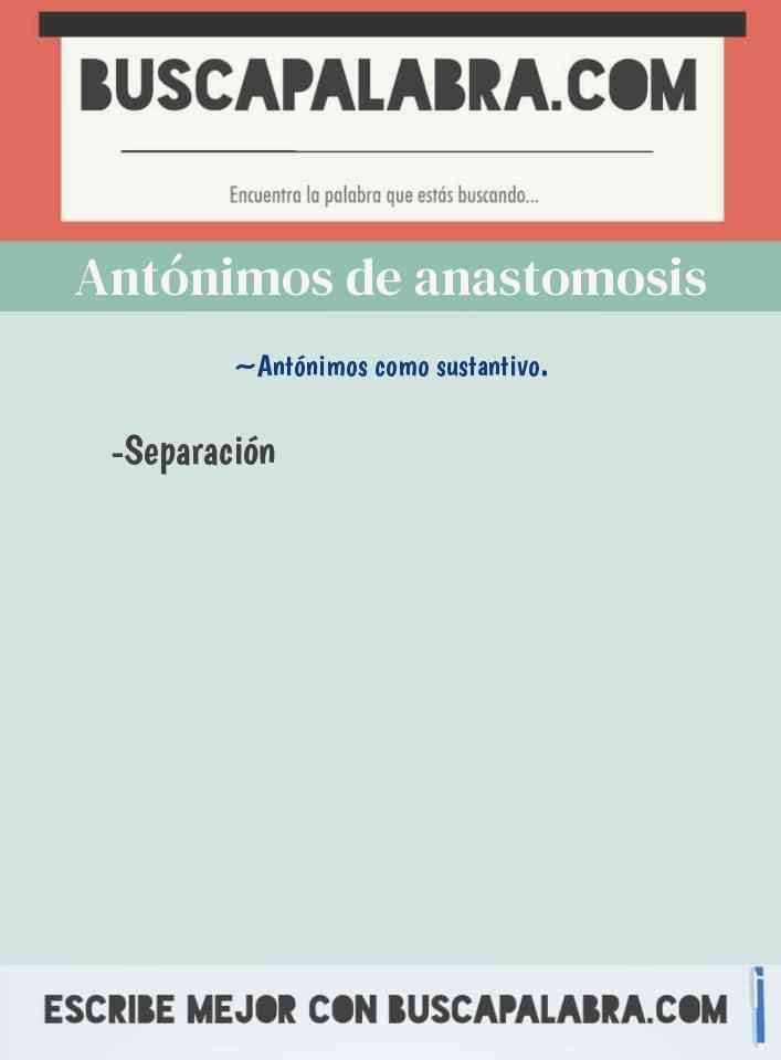 Antónimos de anastomosis