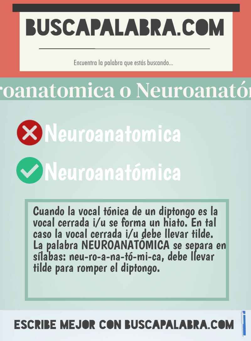 Neuroanatomica o Neuroanatómica