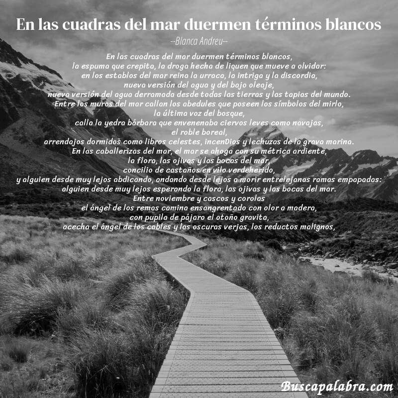 Poema en las cuadras del mar duermen términos blancos de Blanca Andreu con fondo de paisaje