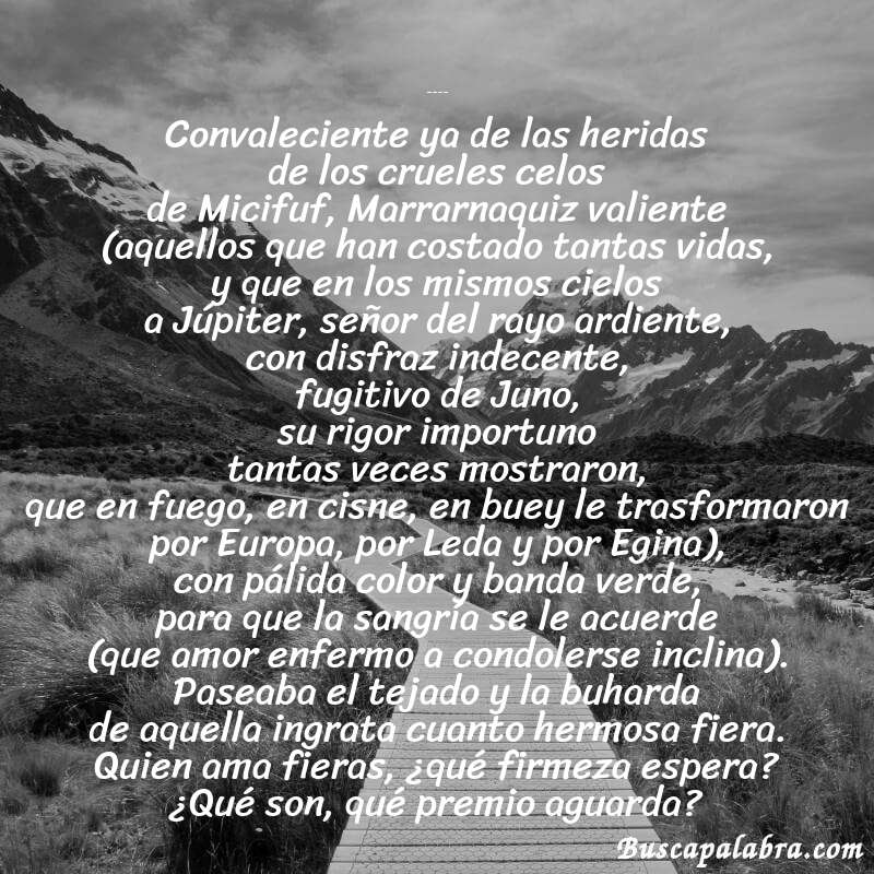 Poema Silva II (Gatomaquia) de Lope de Vega con fondo de paisaje