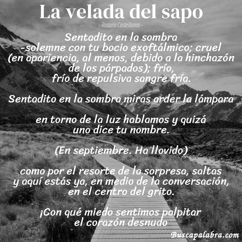 Poema la velada del sapo de Rosario Castellanos con fondo de paisaje