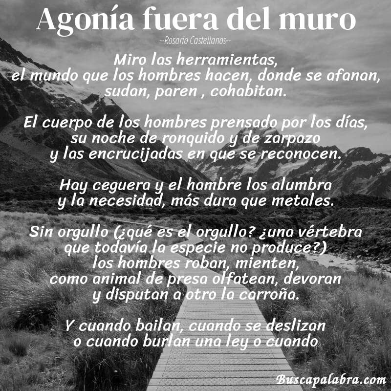 Poema agonía fuera del muro de Rosario Castellanos con fondo de paisaje