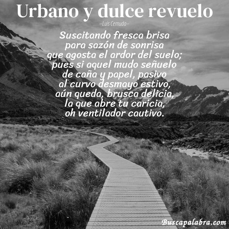 Poema urbano y dulce revuelo de Luis Cernuda con fondo de paisaje