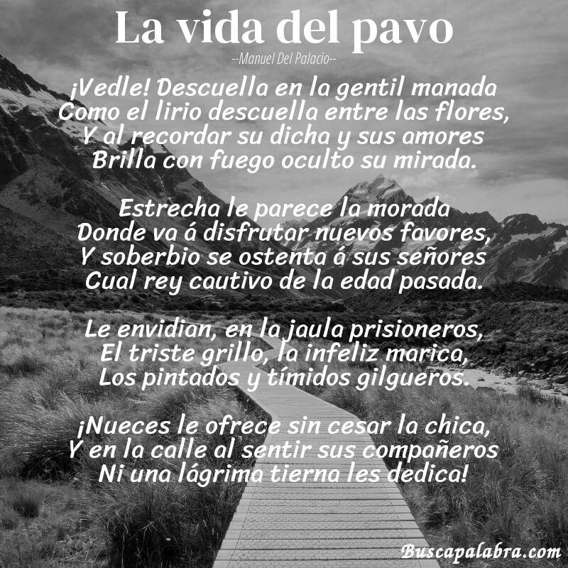 Poema La vida del pavo de Manuel del Palacio con fondo de paisaje
