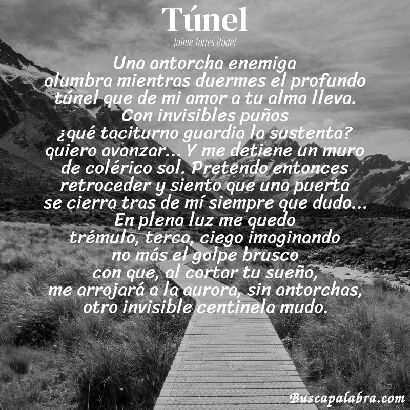 Poema túnel de Jaime Torres Bodet con fondo de paisaje