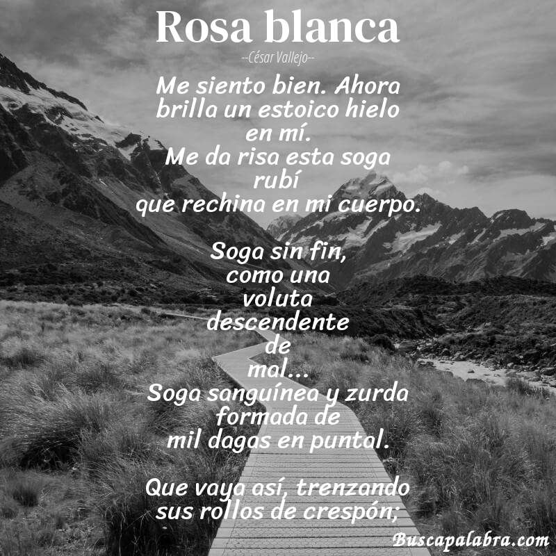 Poema Rosa blanca de César Vallejo con fondo de paisaje