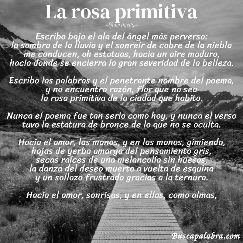 Poema la rosa primitiva de Efraín Huerta con fondo de paisaje