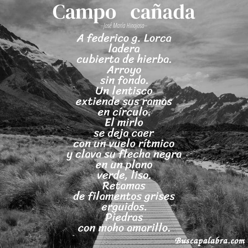 Poema campo   cañada de José María Hinojosa con fondo de paisaje