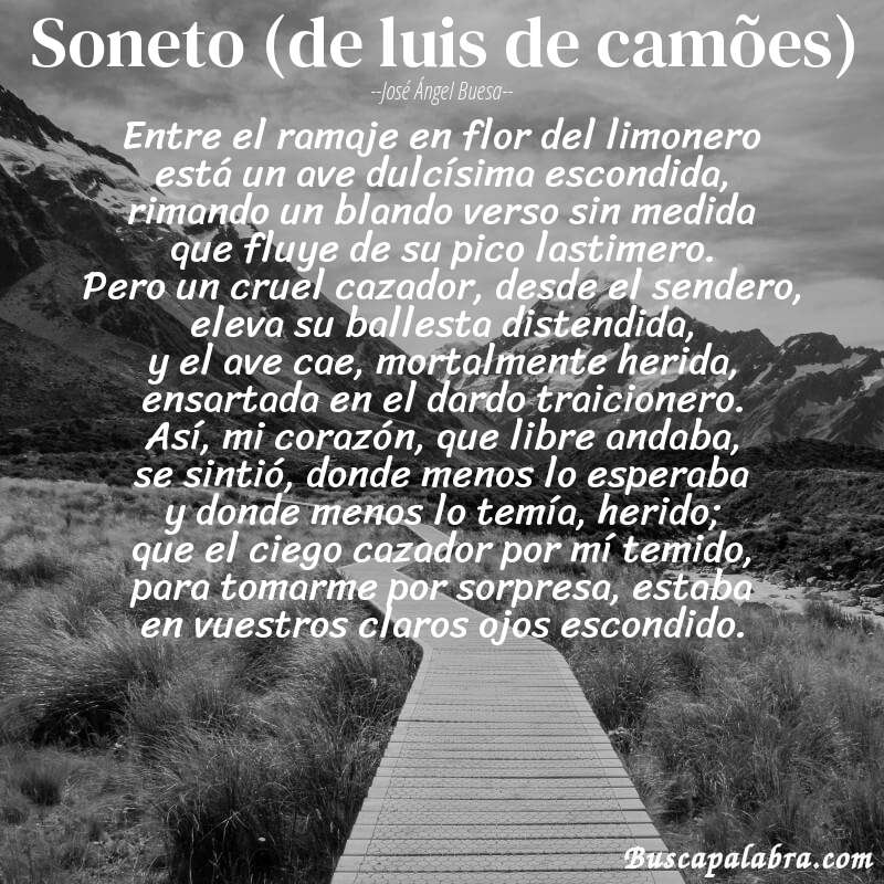 Poema soneto (de luis de camões) de José Ángel Buesa con fondo de paisaje