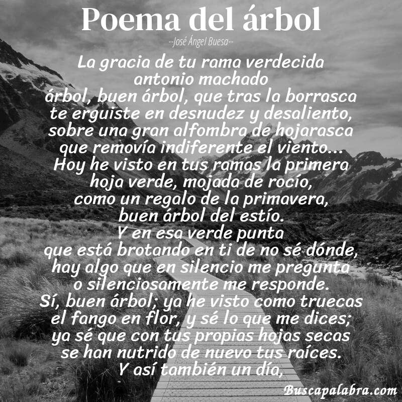 Poema poema del árbol de José Ángel Buesa con fondo de paisaje