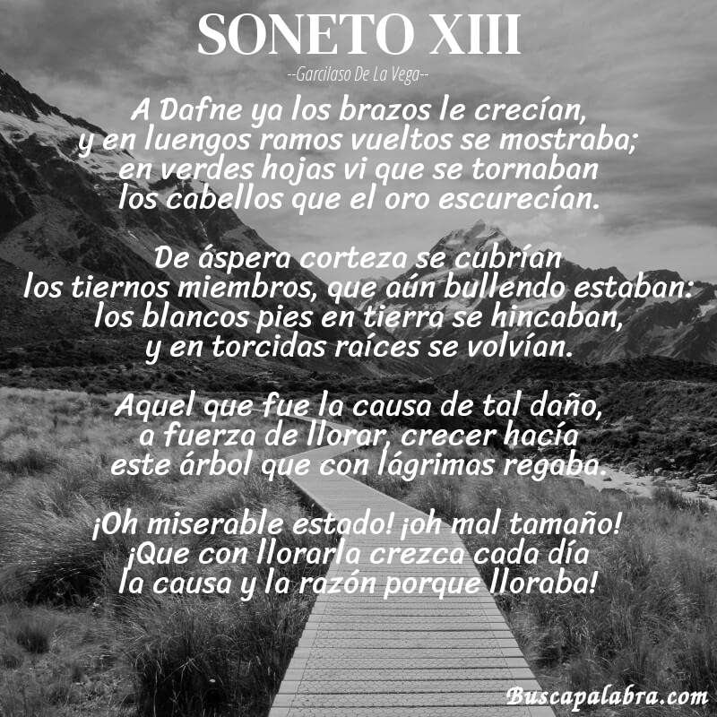 Poema SONETO XIII de Garcilaso de la Vega con fondo de paisaje