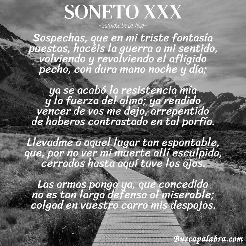 Poema SONETO XXX de Garcilaso de la Vega con fondo de paisaje