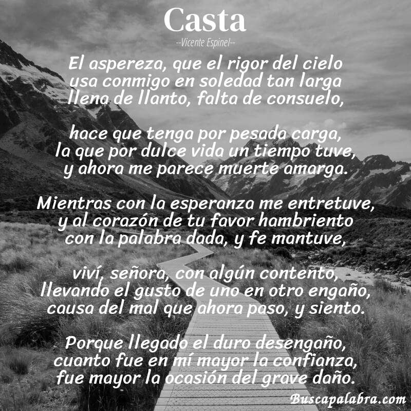 Poema casta de Vicente Espinel con fondo de paisaje