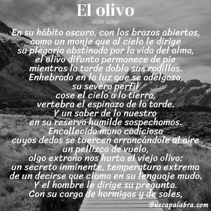 Poema el olivo de Vicente Gallego con fondo de paisaje
