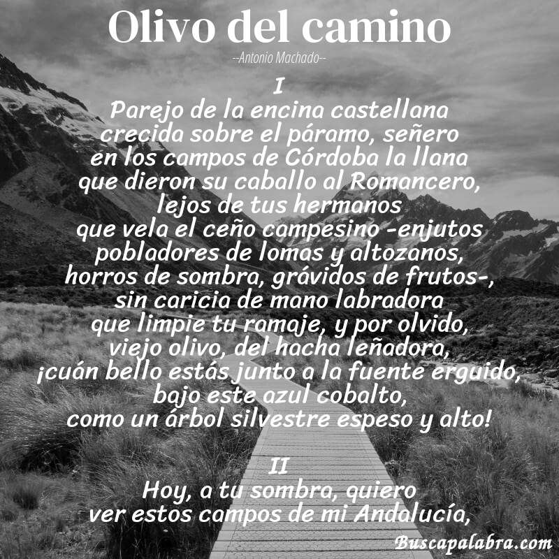 Poema Olivo del camino de Antonio Machado con fondo de paisaje