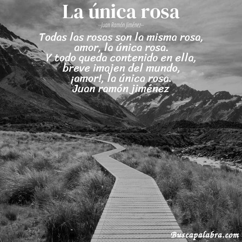 Poema la única rosa de Juan Ramón Jiménez con fondo de paisaje