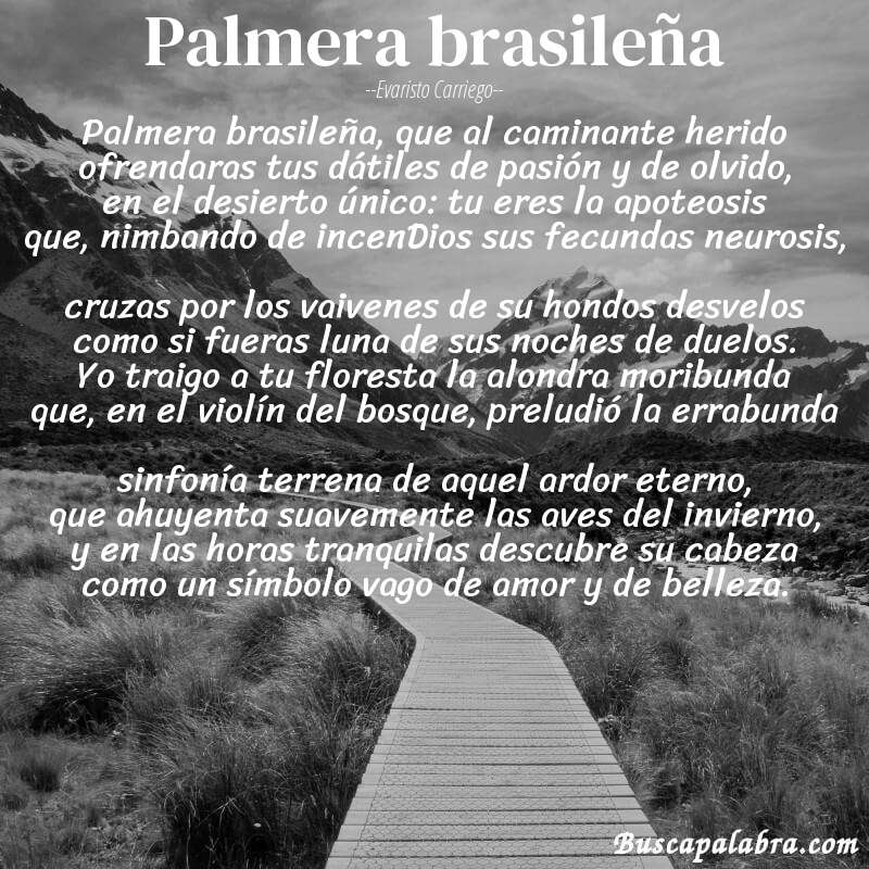 Poema Palmera brasileña de Evaristo Carriego con fondo de paisaje