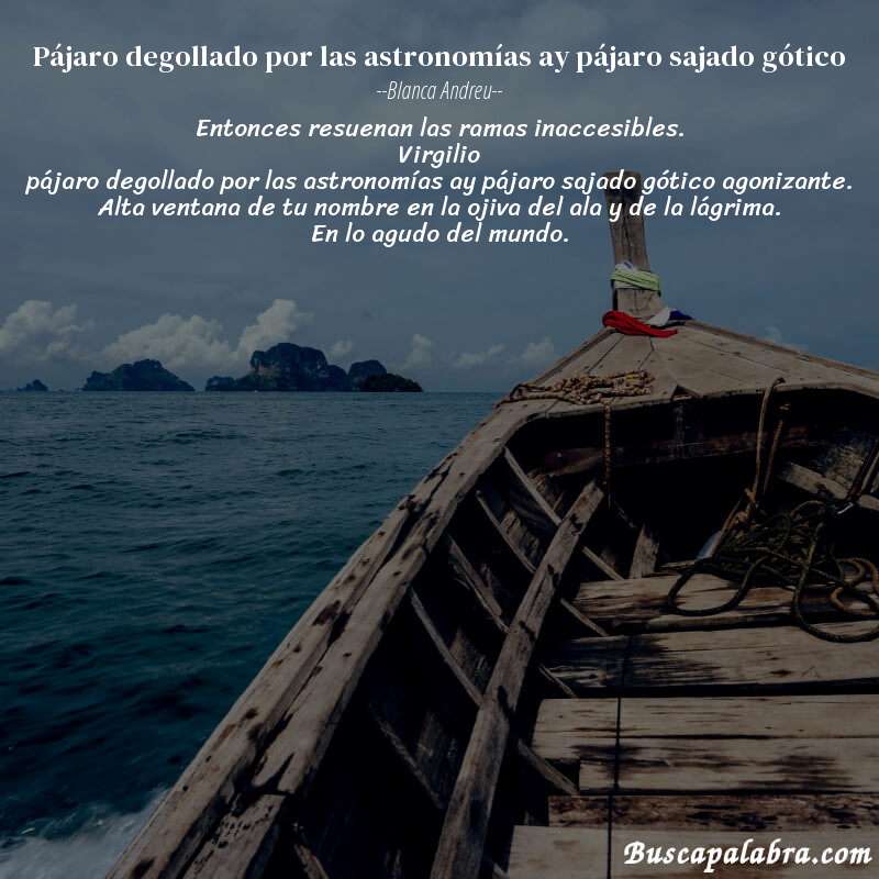 Poema pájaro degollado por las astronomías ay pájaro sajado gótico de Blanca Andreu con fondo de barca