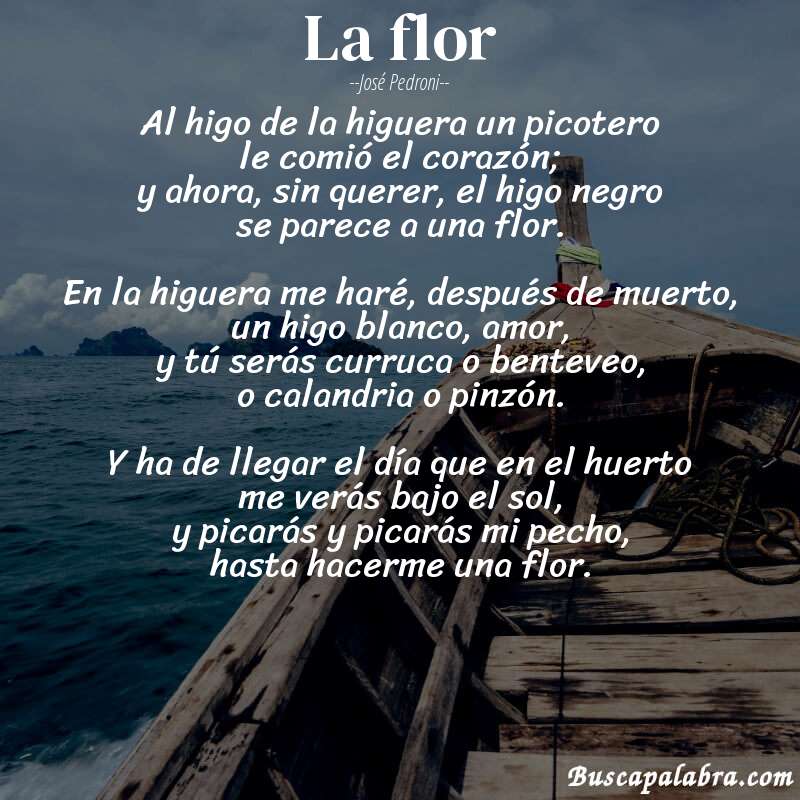 Poema la flor de José Pedroni con fondo de barca
