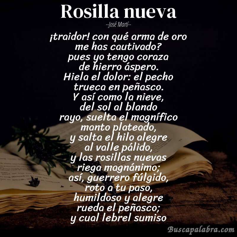 Poema rosilla nueva de José Martí con fondo de libro
