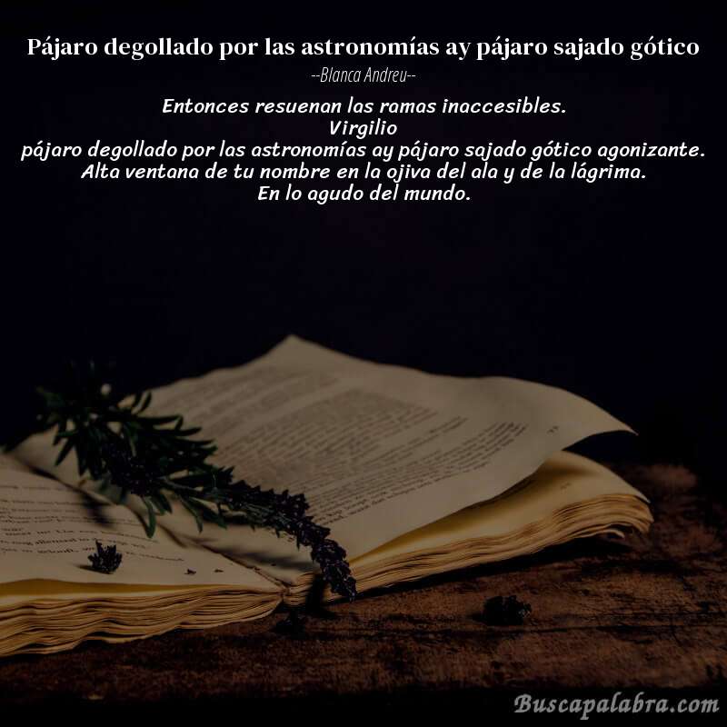 Poema pájaro degollado por las astronomías ay pájaro sajado gótico de Blanca Andreu con fondo de libro