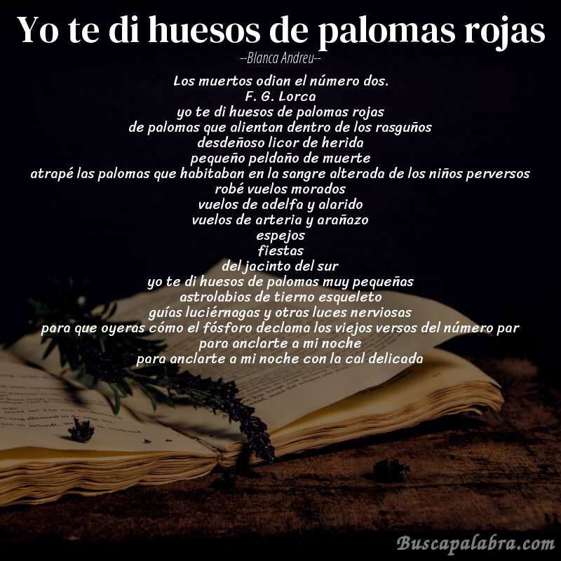 Poema yo te di huesos de palomas rojas de Blanca Andreu con fondo de libro
