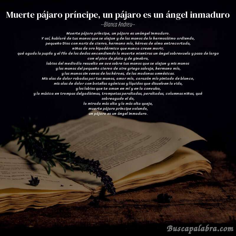 Poema muerte pájaro príncipe, un pájaro es un ángel inmaduro de Blanca Andreu con fondo de libro