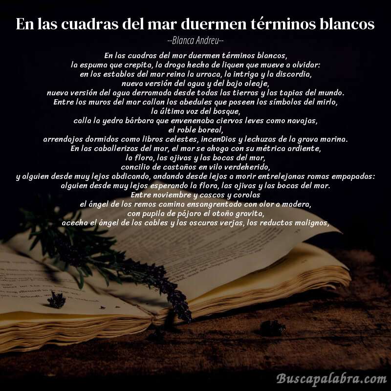 Poema en las cuadras del mar duermen términos blancos de Blanca Andreu con fondo de libro