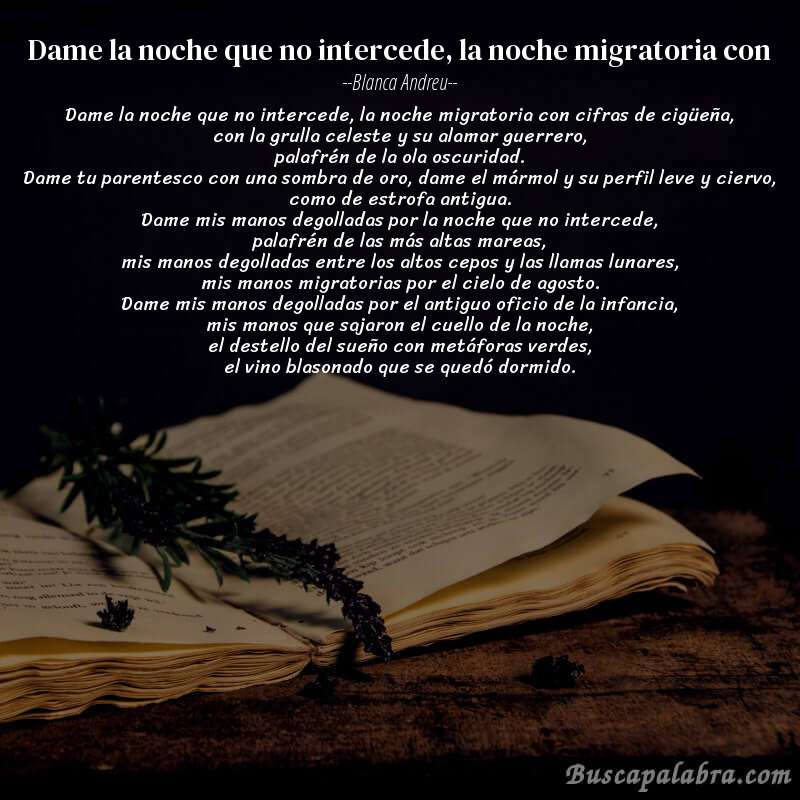 Poema dame la noche que no intercede, la noche migratoria con de Blanca Andreu con fondo de libro