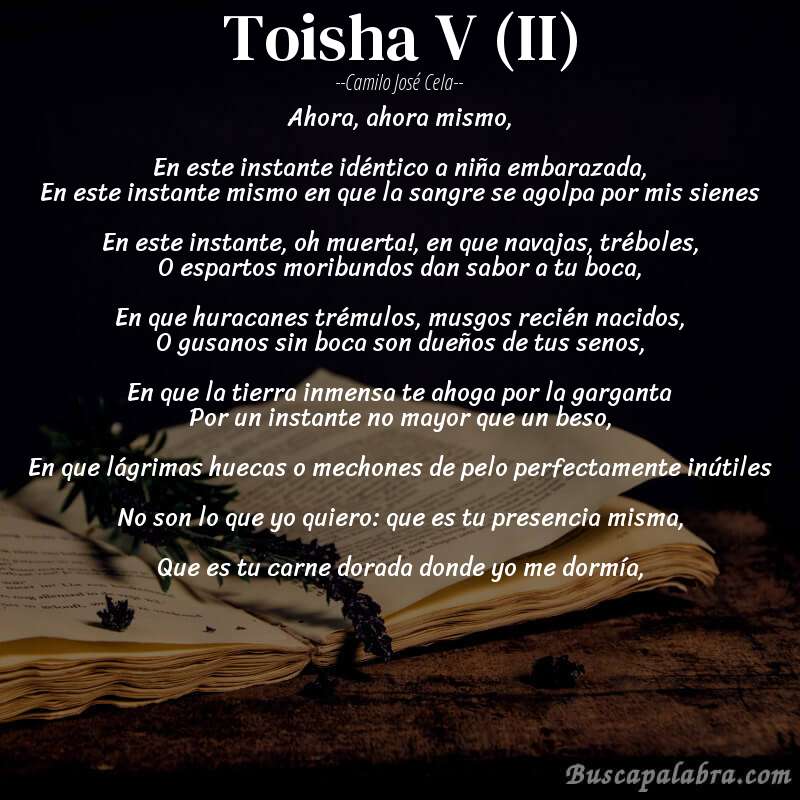 Poema Toisha V (II) de Camilo José Cela con fondo de libro