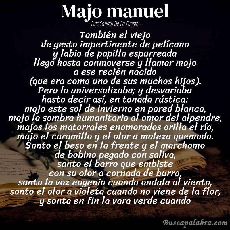 Poema majo manuel de Luis Cañizal de la Fuente con fondo de libro
