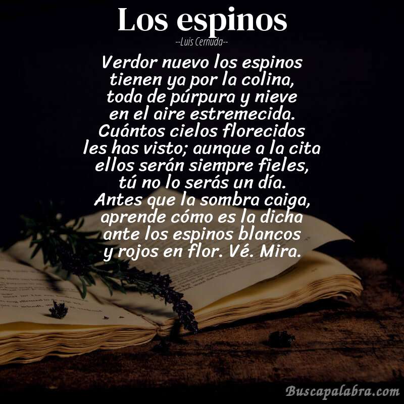 Poema los espinos de Luis Cernuda con fondo de libro