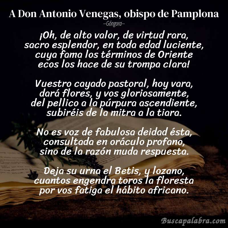 Poema A Don Antonio Venegas, obispo de Pamplona de Góngora con fondo de libro
