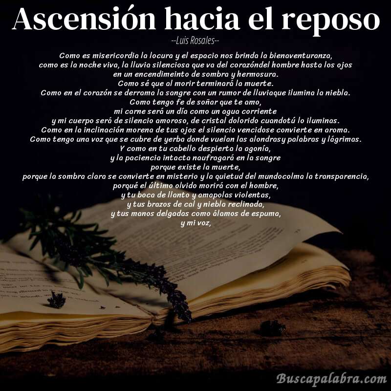 Poema ascensión hacia el reposo de Luis Rosales con fondo de libro
