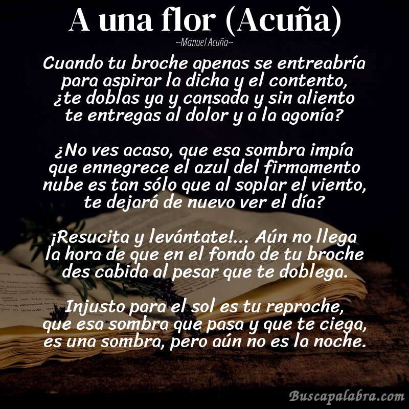 Poema A una flor (Acuña) de Manuel Acuña con fondo de libro