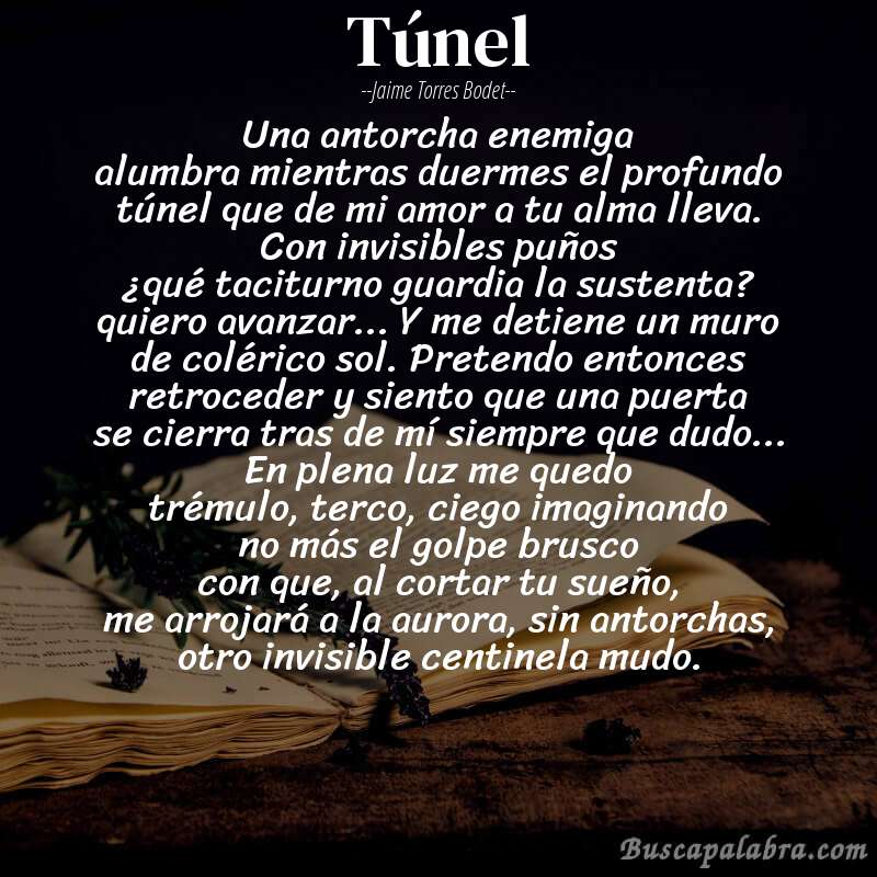 Poema túnel de Jaime Torres Bodet con fondo de libro