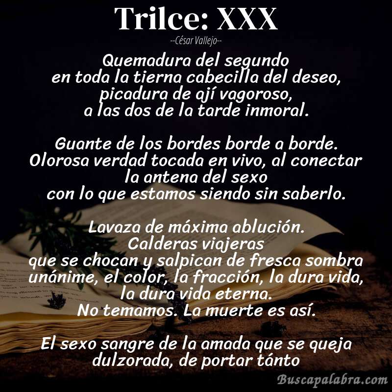 Poema Trilce: XXX de César Vallejo con fondo de libro
