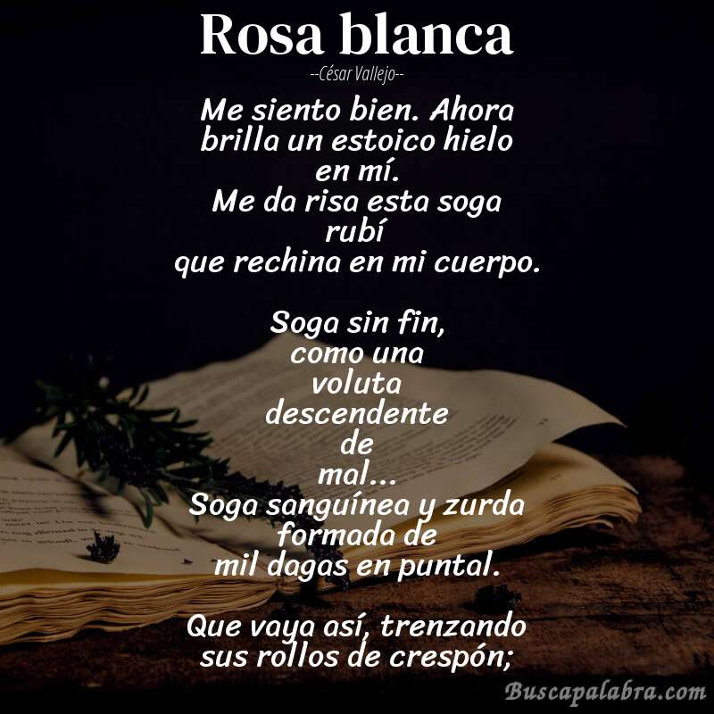 Poema Rosa blanca de César Vallejo con fondo de libro