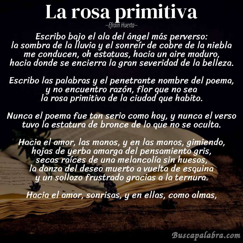 Poema la rosa primitiva de Efraín Huerta con fondo de libro