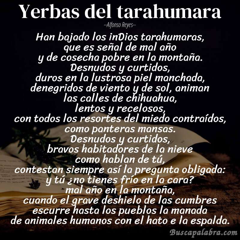 Poema yerbas del tarahumara de Alfonso Reyes con fondo de libro