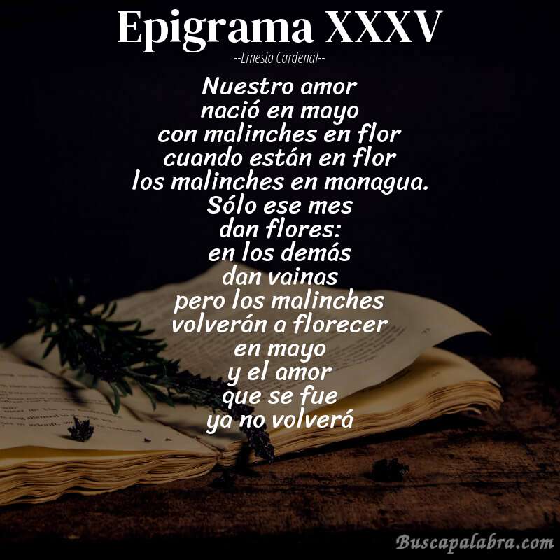 Poema epigrama XXXV de Ernesto Cardenal con fondo de libro