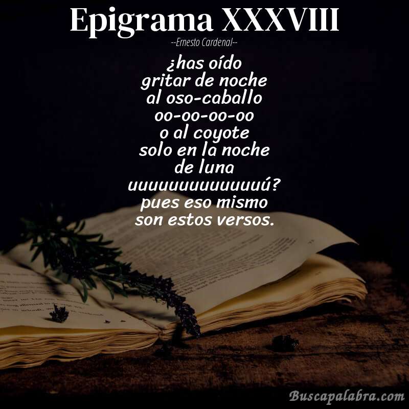 Poema epigrama XXXVIII de Ernesto Cardenal con fondo de libro