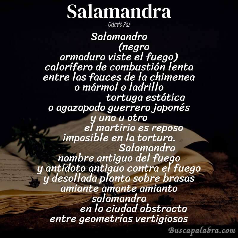 Poema salamandra de Octavio Paz con fondo de libro