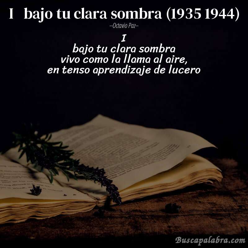 Poema i   bajo tu clara sombra (1935 1944) de Octavio Paz con fondo de libro