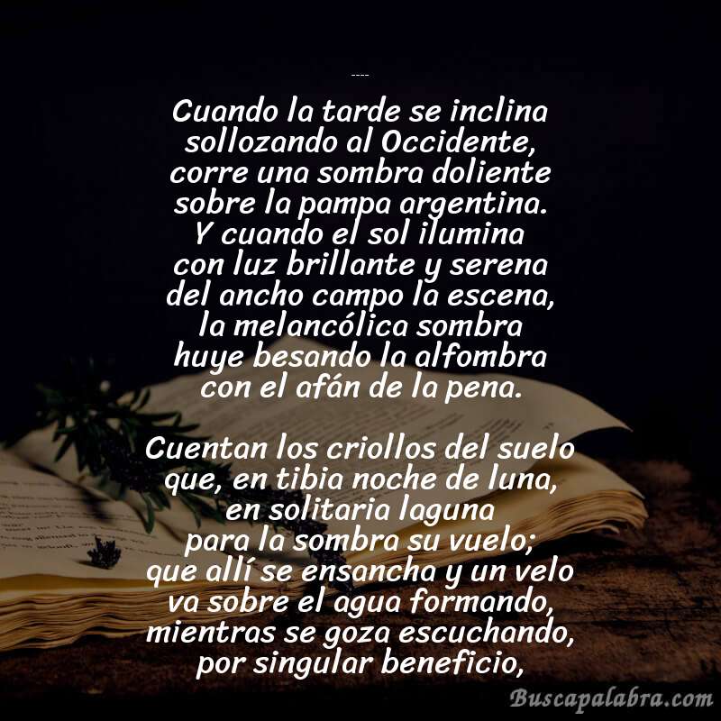 Poema Santos Vega de Rafael Obligado con fondo de libro