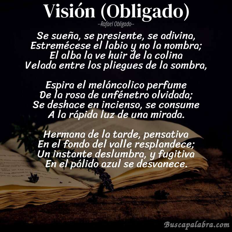 Poema Visión (Obligado) de Rafael Obligado con fondo de libro