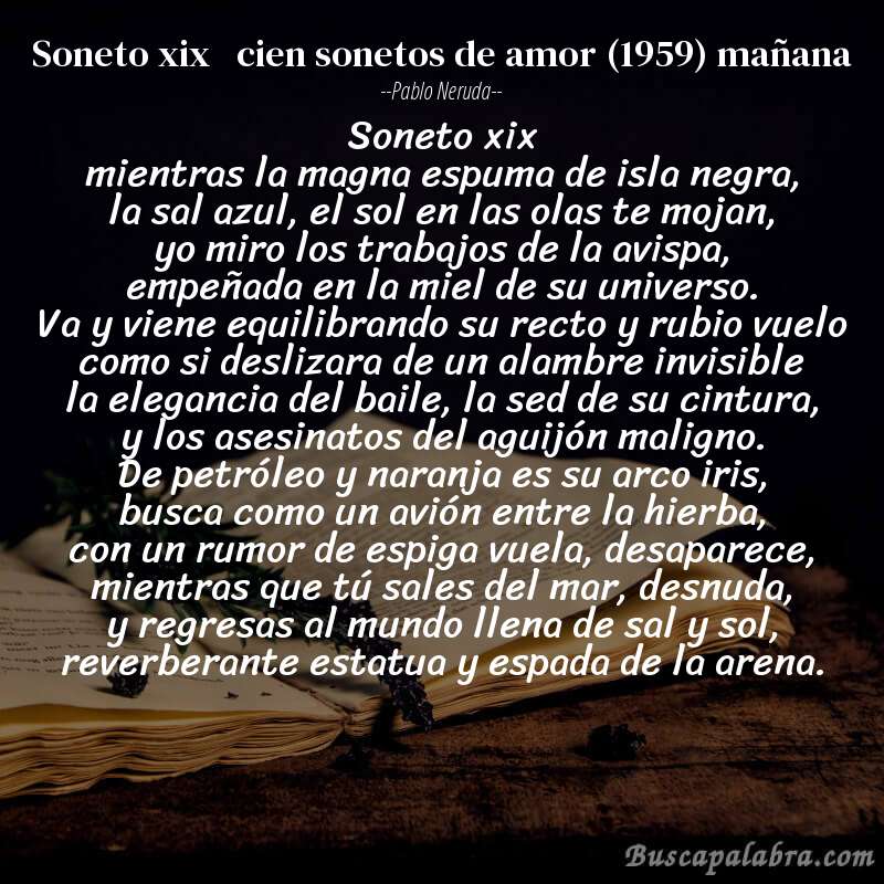 Poema soneto xix   cien sonetos de amor (1959) mañana de Pablo Neruda con fondo de libro